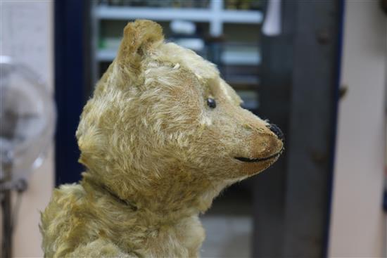 A Steiff centre seam bear, c.1908, replaced paw pads, hair loss to body, arms and legs, 20in.